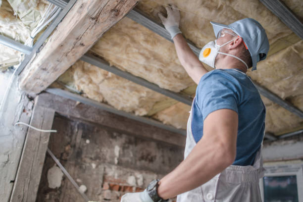Best Insulation Maintenance and Repair in Clksville, AR